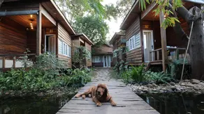 The 47 House Homestay BMT - Image 2