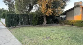 King's Suite Escape - Image 4