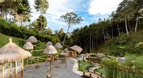Zen Medellin MAYA - Image 4