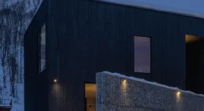 Sumi - Image 5