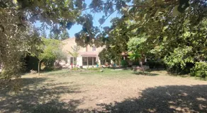 Domaine de la violette - Image 3