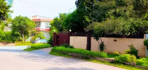 Tulip guesthouse - Image 2