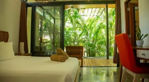 The White Palms of Nosara - Image 2