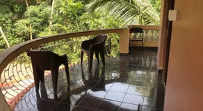 Safe Home Stay - Image 3
