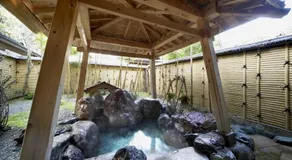 Wakatake - Image 3