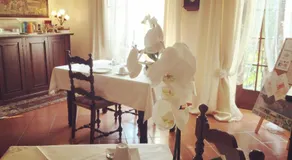 B&B Azalea - Image 4
