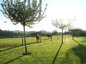 Elegant Estate Stay, Maredsous - Image 2
