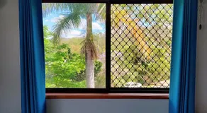 Three Palms - Image 4