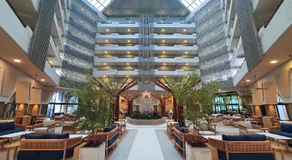 Paradise Village Beach Resort & Spa - Image 2