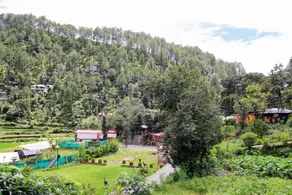 OYO Home 78469 Delightful Stay Bhimtal - Image 4