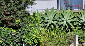 Ahuriri On The Park - Image 5