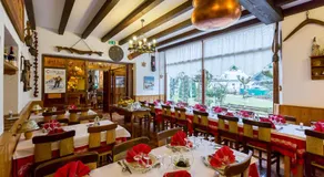 Hotel des Alpes - Image 2