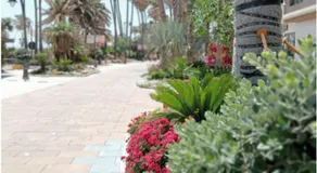 Beach side Apartment -Estepona - Image 3