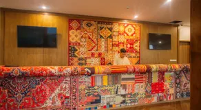 Brocade Backpacker - Image 3