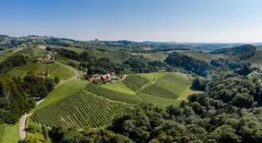 Weingut Juritsch - Image 5