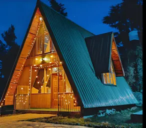 The Alpine Woods - Image 2