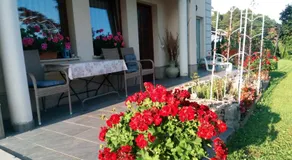 Dolenjska vila - Image 4