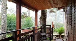 Cabana flor dos manacás - Image 3