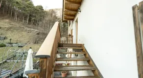 More e lamponi - Image 4