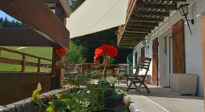 Echo des montagnes - Image 4