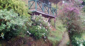 Las Cataratas Lodge - Image 5