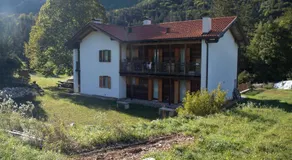 Storie di bosco - Image 3