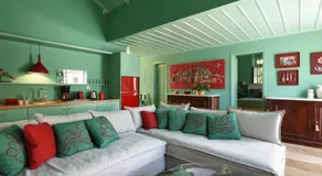 Cactus Hydra - Art Apartments - Image 4