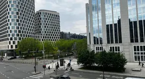 Jardin Botanique - Image 3