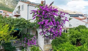 Apartments Husanovic - Image 4
