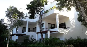 Casa Azul - Image 5