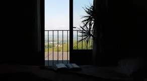 La rosa dei vini - Image 4