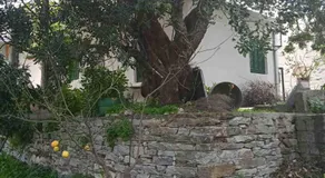 Ikarian Family Cottage, Ikaria Droutsoulas - Image 4