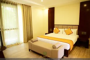 The Silver Sky Hotels and Resorts - Image 2