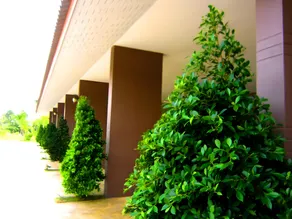 Pran Heaven Resort - Image 3