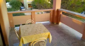 Maslina - Image 5