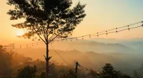 Thelocals Homestay - Image 3
