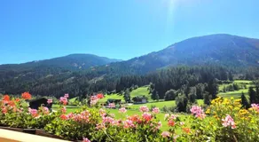 Santner alpine tauern living - Panoramic apartments with free parking - free welcome card - Image 5