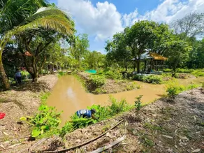 Một homestay & cafe mang phong cách tân cổ điển - Image 4