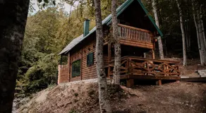 Black River - Image 4