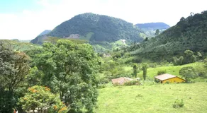 Hotel Internacional Jardín - Image 3