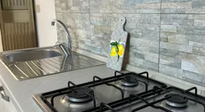 stellahouse - Image 4