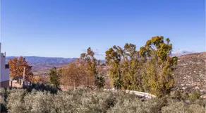 Awesome Apartment In Malaga With Wifi - Image 5