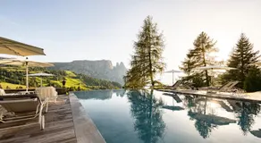 Hotel Rosa Eco Alpine Spa - Image 3