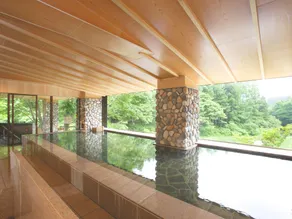 Hanamaki Ryokan Airinkan - Image 4