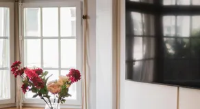 Beautifully renovated historic apartment near Messe Basel - Image 5