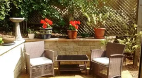 Sunny Patch - Image 2