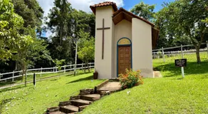 Experiência em celeiro com cavalos á porta - Image 5