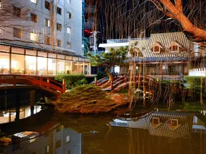 Tokyo Bayplaza Hotel - Image 4