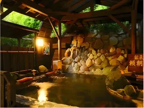 Villa Katsuyama Avail - Image 2