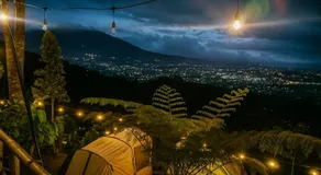 ZOYA HILLS - Image 4